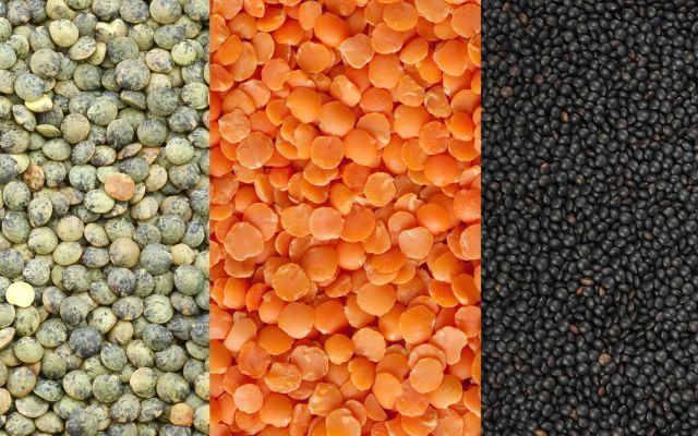 Les lentilles : trois variétés, trois saveurs authentiques
