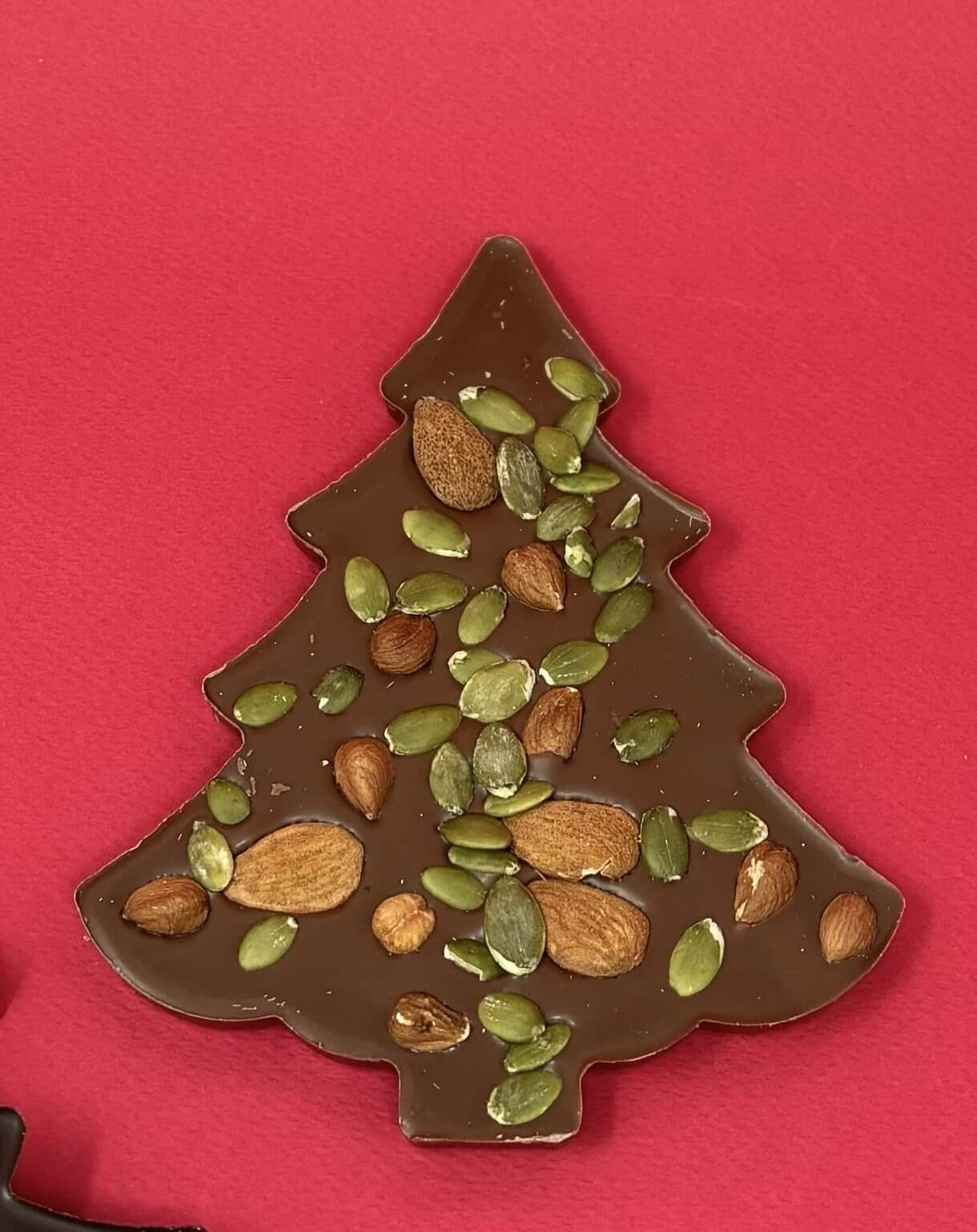 Tablette Sapin chocolat au lait et fruits secs